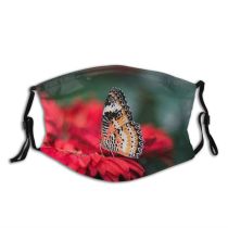 NC Beautiful Public Wallpapers Domain Pictures Blur Insect Images Flower Butterfly Singapore Wing Dust Washable Reusable Filter and Reusable Mouth Warm Windproof Cotton Face
