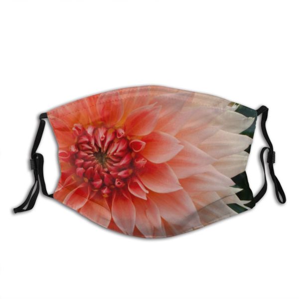 NC Blossom Images Plant Dahlia Flower Public Wallpapers Domain Dust Washable Reusable Filter and Reusable Mouth Warm Windproof Cotton Face