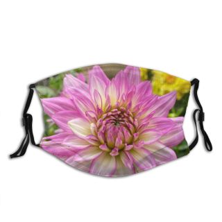 NC Blossom Images Plant Dahlia Ceremonial Mexico Flower Otomí Free Centro Temoaya Pictures Dust Washable Reusable Filter and Reusable Mouth Warm Windproof Cotton Face