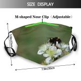 NC Blossom Images Invertebrate Plant Birds Domain Public Pollen Polen Bumblebee Honey Apidae Dust Washable Reusable Filter and Reusable Mouth Warm Windproof Cotton Face