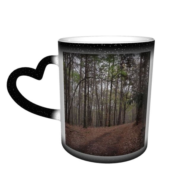 NC Ceramic Photo Coffee Mugs,Alabama State Bamboo Plant Barren Beauty Change Country Road Direction Ecosystem Footpath,Custom Picture Mug Magic Heat Sensitive Color Changing Mug Milk Tea Cup Persona