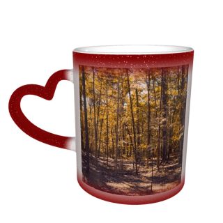 NC Ceramic Photo Coffee Mugs,Alabama State Autumn Forest Gulf Coast States Leaf Muscle Shoals Outdoors Tree,Custom Picture Mug Magic Heat Sensitive Color Changing Mug Milk Tea Cup Personalized Gifts
