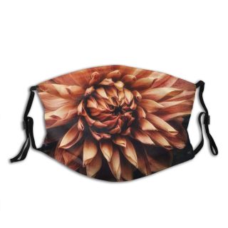 NC Blossom Images Plant Dahlia Flower Creative Commons Dust Washable Reusable Filter and Reusable Mouth Warm Windproof Cotton Face