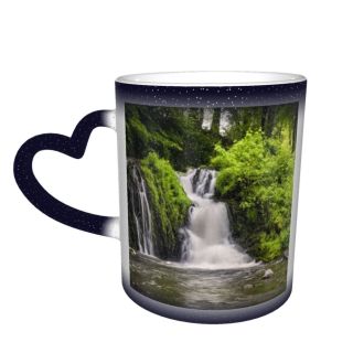 NC Ceramic Photo Coffee Mugs,Aisne Beauty France Exposure Outdoors Panoramic Rock Scenics Springtime Stream Tree Waterfall,Custom Picture Mug Magic Heat Sensitive Color Changing Mug Milk Tea Cup Per