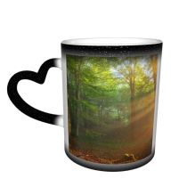 NC Ceramic Photo Coffee Mugs,Alava Province Beauty Branch Plant Dawn Fog Forest Freedom Glowing Heat Temperature,Custom Picture Mug Magic Heat Sensitive Color Changing Mug Milk Tea Cup Personalized