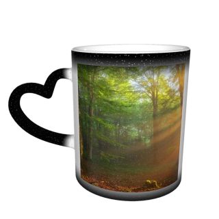 NC Ceramic Photo Coffee Mugs,Alava Province Beauty Branch Plant Dawn Fog Forest Freedom Glowing Heat Temperature,Custom Picture Mug Magic Heat Sensitive Color Changing Mug Milk Tea Cup Personalized
