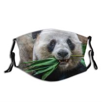 NC Bear Wallpapers Grey Pictures Park Panda Kong Ocean Hong Eat Giant Images Dust Washable Reusable Filter and Reusable Mouth Warm Windproof Cotton Face