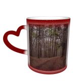 NC Ceramic Photo Coffee Mugs,Alabama State Bamboo Plant Barren Beauty Change Country Road Direction Ecosystem Footpath,Custom Picture Mug Magic Heat Sensitive Color Changing Mug Milk Tea Cup Persona