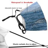 NC Big Dive Wallpapers Grey Wale Pictures Birds Sea Whale Ocean Húsavík Iceland Dust Washable Reusable Filter and Reusable Mouth Warm Windproof Cotton Face
