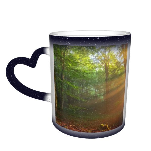NC Ceramic Photo Coffee Mugs,Alava Province Beauty Branch Plant Dawn Fog Forest Freedom Glowing Heat Temperature,Custom Picture Mug Magic Heat Sensitive Color Changing Mug Milk Tea Cup Personalized