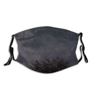 NC Astronomy Sky Spring Outer Wallpapers Grey Way Silhouette Pictures Universe Appletree Galaxy Dust Washable Reusable Filter and Reusable Mouth Warm Windproof Cotton Face
