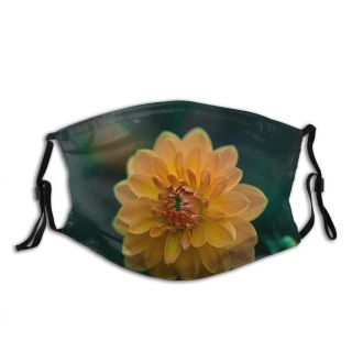 NC Blossom Images Plant Dahlia Stock Flower Free Petal Dust Washable Reusable Filter and Reusable Mouth Warm Windproof Cotton Face