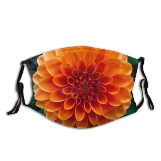NC Blossom Images Plant Dahlia Flower Creative Wallpapers Commons Dust Washable Reusable Filter and Reusable Mouth Warm Windproof Cotton Face