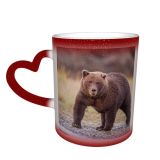 NC Ceramic Photo Coffee Mugs,Alaska State Wildlife Wild Bear Danger Forest Grizzly Lake Clark National Park,Custom Picture Mug Magic Heat Sensitive Color Changing Mug Milk Tea Cup Personalized Gifts