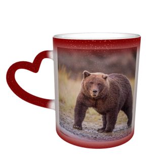 NC Ceramic Photo Coffee Mugs,Alaska State Wildlife Wild Bear Danger Forest Grizzly Lake Clark National Park,Custom Picture Mug Magic Heat Sensitive Color Changing Mug Milk Tea Cup Personalized Gifts