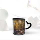 NC Ceramic Photo Coffee Mugs,Alabama State Autumn Forest Gulf Coast States Leaf Muscle Shoals Outdoors Tree,Custom Picture Mug Magic Heat Sensitive Color Changing Mug Milk Tea Cup Personalized Gifts