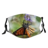 NC Beauty Images Invertebrate Monarch Cape May Flower Butterfly Commons Creative States United Dust Washable Reusable Filter and Reusable Mouth Warm Windproof Cotton Face