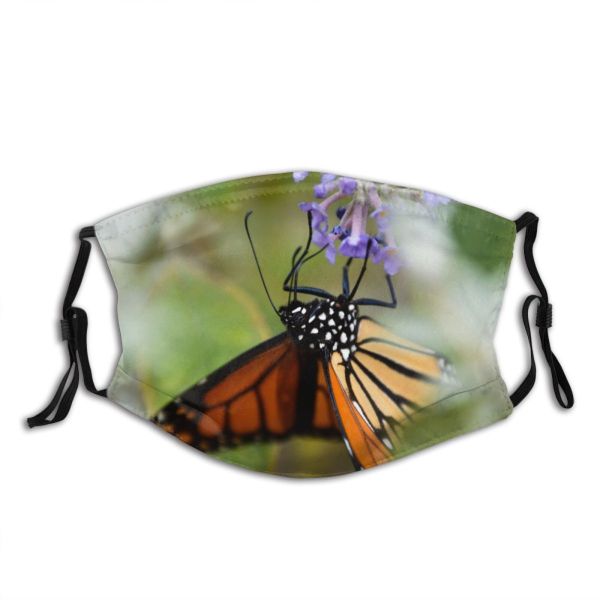 NC Beauty Images Invertebrate Monarch Cape May Flower Butterfly Commons Creative States United Dust Washable Reusable Filter and Reusable Mouth Warm Windproof Cotton Face