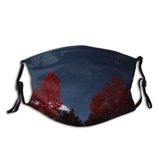 NC Astronomy Sky Usa Outer Wallpapers Grey Westcliffe Pictures Universe Starry Images Space Dust Washable Reusable Filter and Reusable Mouth Warm Windproof Cotton Face