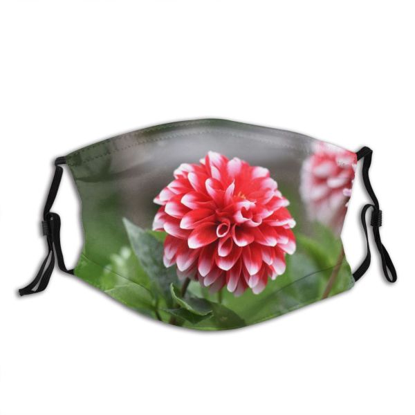NC Blossom Images Plant Dahlia Flower Free Rose Wallpapers Petal Pictures Dust Washable Reusable Filter and Reusable Mouth Warm Windproof Cotton Face