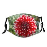 NC Blossom Images Plant Dahlia PNG Flower Daisies Petal Daisy Dust Washable Reusable Filter and Reusable Mouth Warm Windproof Cotton Face