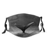 NC Bear Kolumbien Wallpapers Grey Sailcone's Wal Pictures Birds Sea Whale Waddington Kanada Dust Washable Reusable Filter and Reusable Mouth Warm Windproof Cotton Face