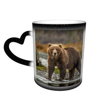 NC Ceramic Photo Coffee Mugs,Alaska State Wildlife Wild Autumn Bear Claw Flowing Forest Fur Grizzly Kodiak,Custom Picture Mug Magic Heat Sensitive Color Changing Mug Milk Tea Cup Personalized Gifts