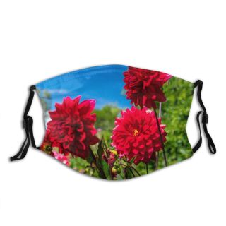 NC Blossom Images Plant Dahlia Freshness Vibrant Flower Free Gardening Botany Leaves Outdoors Dust Washable Reusable Filter and Reusable Mouth Warm Windproof Cotton Face