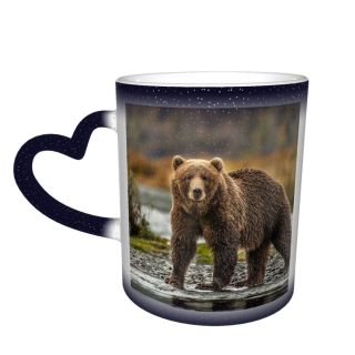 NC Ceramic Photo Coffee Mugs,Alaska State Wildlife Wild Autumn Bear Claw Flowing Forest Fur Grizzly Kodiak,Custom Picture Mug Magic Heat Sensitive Color Changing Mug Milk Tea Cup Personalized Gifts