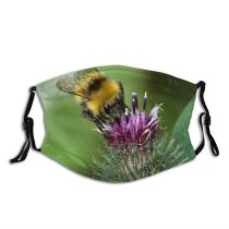 NC Blossom Images Invertebrate Plant Flower Pollen Bee Bumblebee Commons Creative Thistle Honey Dust Washable Reusable Filter and Reusable Mouth Warm Windproof Cotton Face