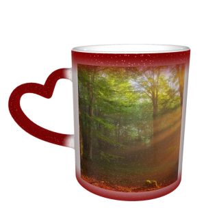 NC Ceramic Photo Coffee Mugs,Alava Province Beauty Branch Plant Dawn Fog Forest Freedom Glowing Heat Temperature,Custom Picture Mug Magic Heat Sensitive Color Changing Mug Milk Tea Cup Personalized