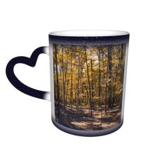 NC Ceramic Photo Coffee Mugs,Alabama State Autumn Forest Gulf Coast States Leaf Muscle Shoals Outdoors Tree,Custom Picture Mug Magic Heat Sensitive Color Changing Mug Milk Tea Cup Personalized Gifts
