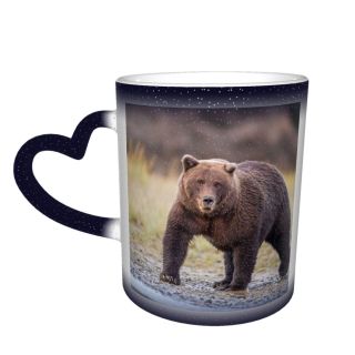 NC Ceramic Photo Coffee Mugs,Alaska State Wildlife Wild Bear Danger Forest Grizzly Lake Clark National Park,Custom Picture Mug Magic Heat Sensitive Color Changing Mug Milk Tea Cup Personalized Gifts