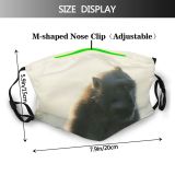 NC Bear Lynx Wallpapers Grey Pictures Gorilla Birds Vulture Monkey Asilidae Insect Baboon Dust Washable Reusable Filter and Reusable Mouth Warm Windproof Cotton Face