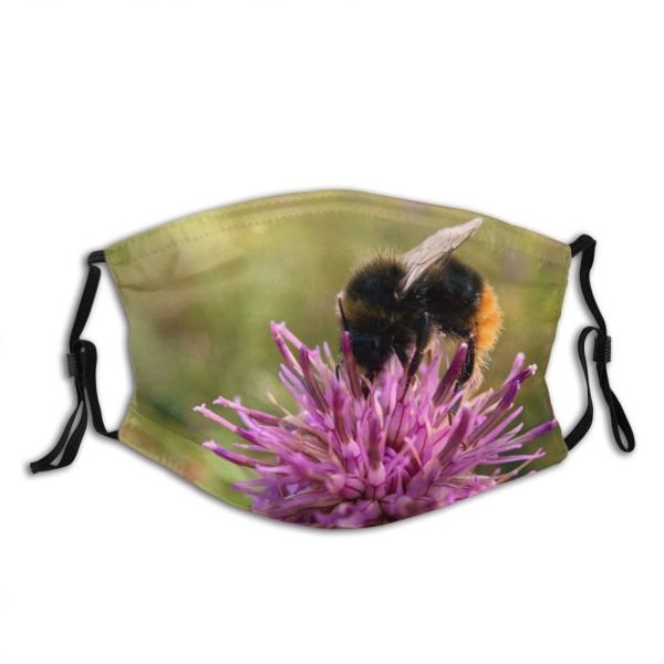 NC Blossom Images Invertebrate Plant Flower Free Bee Bumblebee Honey Apidae Insect Pictures Dust Washable Reusable Filter and Reusable Mouth Warm Windproof Cotton Face
