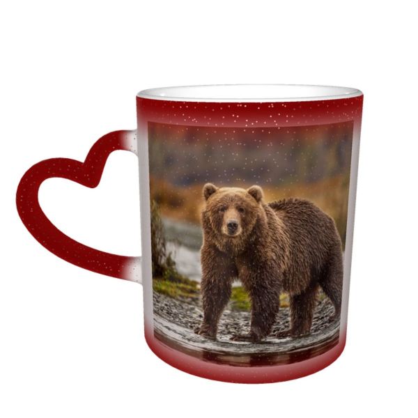 NC Ceramic Photo Coffee Mugs,Alaska State Wildlife Wild Autumn Bear Claw Flowing Forest Fur Grizzly Kodiak,Custom Picture Mug Magic Heat Sensitive Color Changing Mug Milk Tea Cup Personalized Gifts