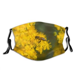 NC Beautiful Pictures I Bumblebee Time Honey Apidae Bee Lifestyle Insect Blossom Images Dust Washable Reusable Filter and Reusable Mouth Warm Windproof Cotton Face