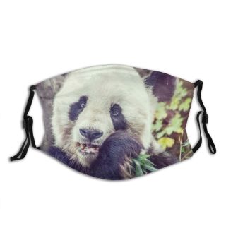 NC reusable filter and reusable mouth warm and windproof cotton face mask, pattern customization link