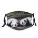 NC Bear Center Wallpapers Grey Pictures Panda China Images Chengdu Research Free Wildlife Dust Washable Reusable Filter and Reusable Mouth Warm Windproof Cotton Face
