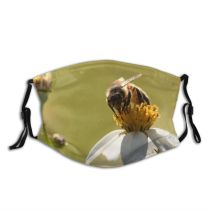 NC Blossom Images Invertebrate Plant Domain Flower Public Pollen Bee Bumblebee Honey Apidae Dust Washable Reusable Filter and Reusable Mouth Warm Windproof Cotton Face
