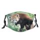 NC Bear Wallpapers Pictures Bratislava Panda Slovakia Stock Images Plant Curious Look Tree Dust Washable Reusable Filter and Reusable Mouth Warm Windproof Cotton Face