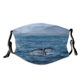 NC Big Dive Wallpapers Grey Wale Pictures Birds Sea Whale Ocean Húsavík Iceland Dust Washable Reusable Filter and Reusable Mouth Warm Windproof Cotton Face