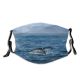 NC Big Dive Wallpapers Grey Wale Pictures Birds Sea Whale Ocean Húsavík Iceland Dust Washable Reusable Filter and Reusable Mouth Warm Windproof Cotton Face