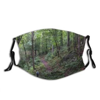 NC Big Public Wallpapers Forest Land Against Pictures Domain Path Universe We Grove Dust Washable Reusable Filter and Reusable Mouth Warm Windproof Cotton Face