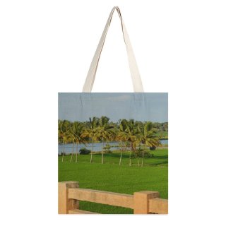 NC Great Martin Canvas Tote Bag Double Field Outdoors Grassland Countryside Kerala India Paddy Bench Furniture Rural Summer Grass white-style1 38×41cm