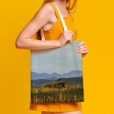 NC Great Martin Canvas Tote Bag Double Field Outdoors Grassland Countryside Meadow Range Золотая Долина Приморский Край Россия white-style1 38×41cm