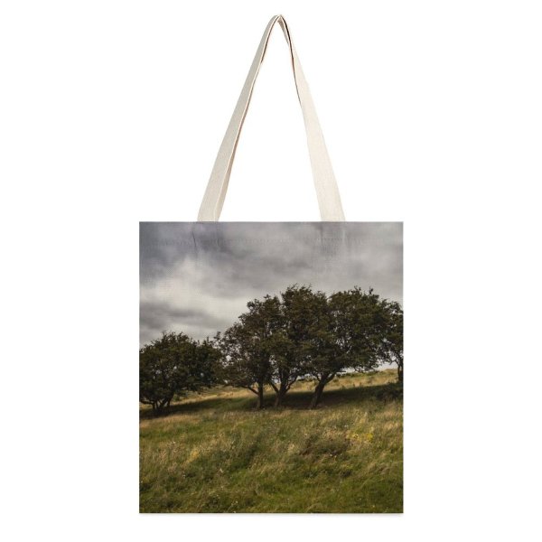 NC Great Martin Canvas Tote Bag Double Field Grassland Outdoors Savanna Plant Tree Glumslv Sverige Countryside Landscape Ground Rural white-style1 38×41cm
