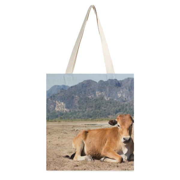NC Great Martin Canvas Tote Bag Double Field Meadow Pasture Cattle Cow Ranch Countryside Farm Grassland Outdoors Rural Laos white-style1 38×41cm