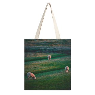 NC Great Martin Canvas Tote Bag Double Field Grassland Outdoors Sheep Countryside Farm Grazing Meadow Pasture Ranch Rural Horse white-style1 38×41cm