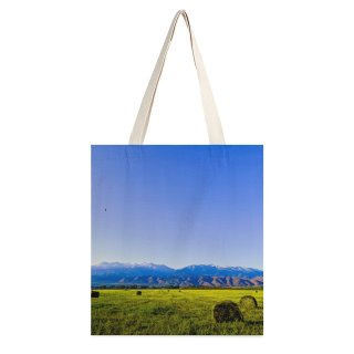 NC Great Martin Canvas Tote Bag Double Field Outdoors Grassland Countryside Farm Rural Meadow Pasture Ranch Landscape Cattle Cow white-style1 38×41cm